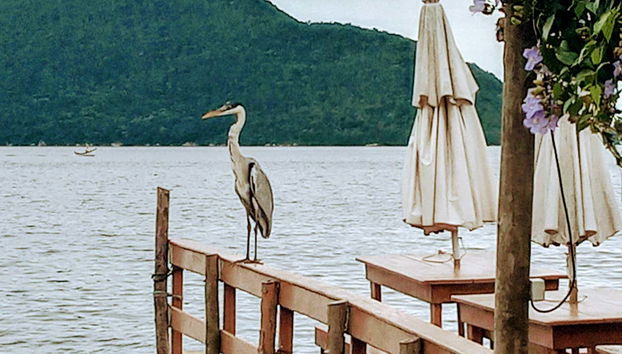 Paesaggi della Costa da Lagoa