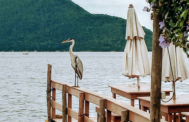 Visite de la Costa da Lagoa + Balade en bateau - Photo 3