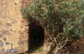 Abetarda CC - Foto 43