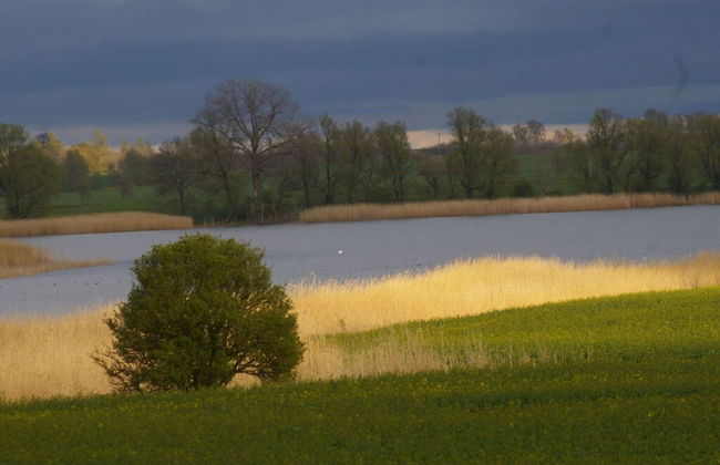 Cosy Apartment in Garz - Foto 10