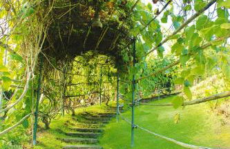 Bungalow São Miguel near Vila Franca Beach - Photo 34