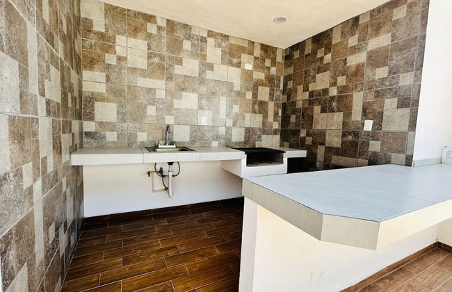 Flamingos - Photo 12