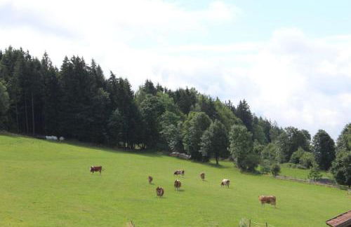 Ferienhof Kagerbauer - Foto 6