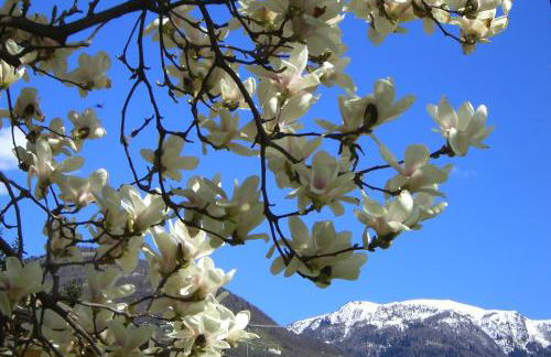 La Gallina - Foto 31