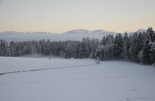 Langegger Alm - Sennerstube - Foto 20