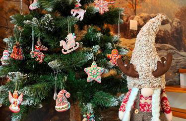 Galena i Gnejs - Foto 21