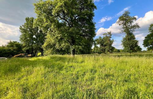 Gîte de petit Pierre - Foto 35