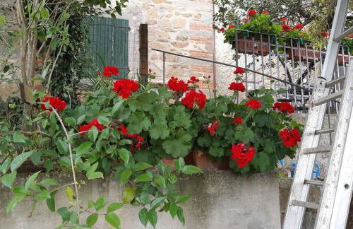 La casa di Nina - Foto 6