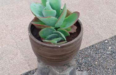 Chalet Canarias - Foto 12