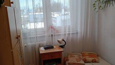 Wrota Puszczy - Foto 4