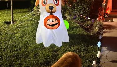 Wharfside Waterfront - Foto 5