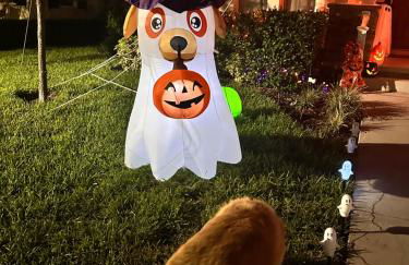 Wharfside Waterfront - Foto 5