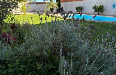 Villa Mandrés. Casa con jardín y piscina. Proximo a Puy Du Fou. - Foto 30