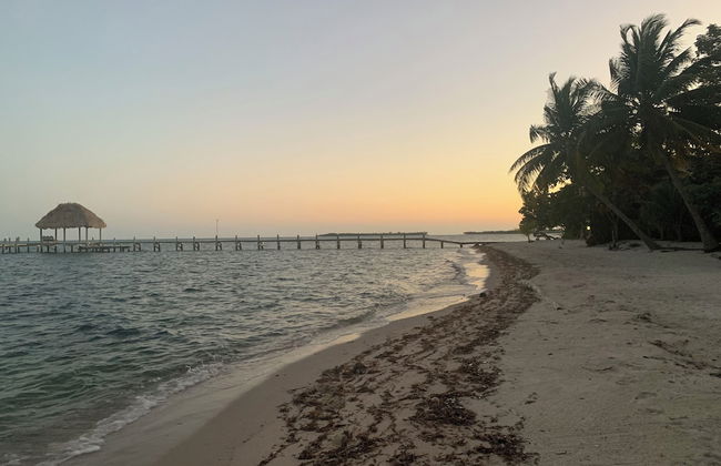 Finca Beachfront Tree house - Foto 19