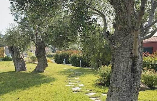 ReBi Village - Foto 69