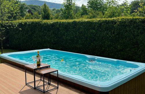 BESKIDIUM - uroczy dom Brenna - Foto 37