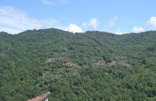 Nature Retreat in Testico - Photo 70