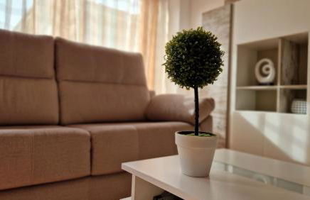 Chalet Adosado con jardín - Foto 37