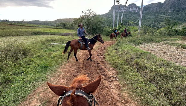 Profitez des paysages de la vallée