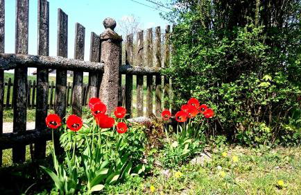 Dworek Szarki - Foto 7