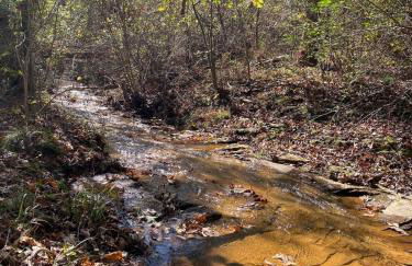 Cricket by the Creek - Creek, Gym, Trails, Kayaks - Foto 17