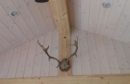 Apartment mit Gartenblick - Foto 16