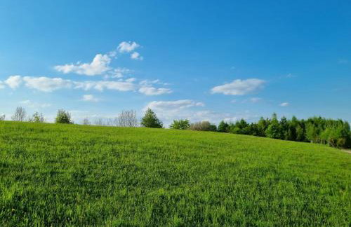 Wiśniowe Zacisze - Agroturystyka - Photo 23