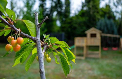 La Finka - villa with a heated pool & sauna - Foto 35