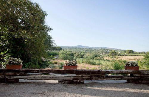 Mas del Molí - Foto 13