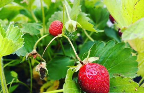 CA' DEL SOLE ITALIA - Attico Panoramico in Centro Storico - Photo 52