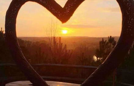 New Forest lodge - 194 NO PETS - Photo 28