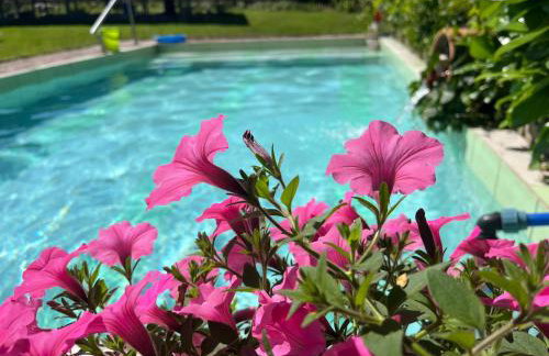 Agroturystyka u Strażaka - Foto 6