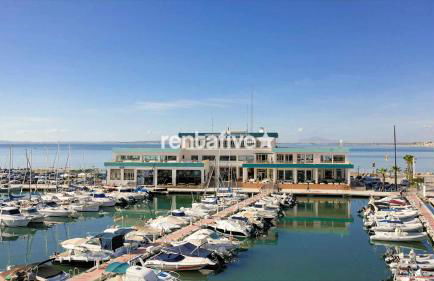 rentafive - Nuevo - AA - Reformado - Piscina - Photo 38