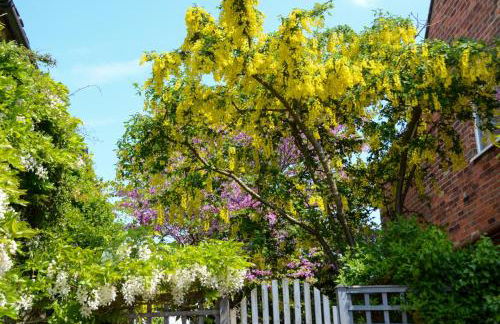 Grove Cottage - Photo 45