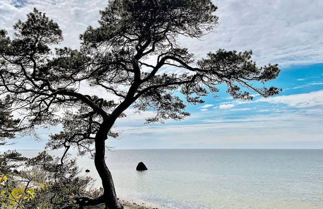 4 Star Holiday Home in Gotlands Tofta - Photo 18