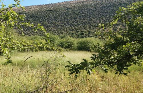 Villas de Aire Country Houses - Foto 47