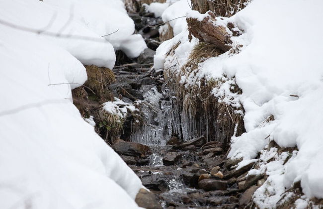 Chalet in Stadl an der Mur / Styria With Sauna - Foto 34