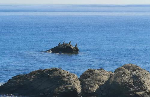 Coastal Charm-Getaway to Artichoke's Seaside Oasis - Foto 22