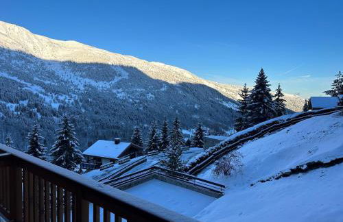 Méribel 2 pièces avec cabine, centre, proche commerce et pistes avec parking et wifi état neuf - Foto 12