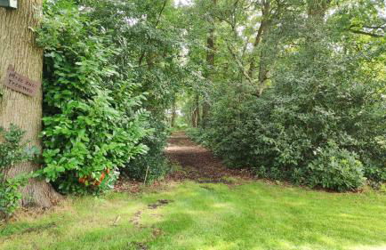 Ruheoase am Wald 35651 - Photo 12