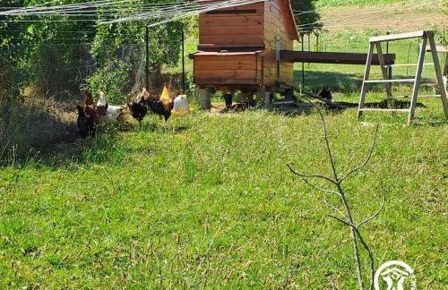 La roulotte du tonnelier - Photo 22