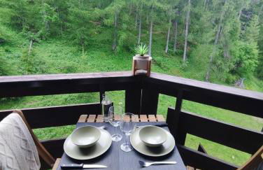 Le Petit Aupillon - L'Aupillon des Forêts - 2 studios cocooning aux Orres - Photo 34