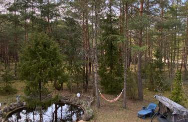 Leśny Czar - Foto 25