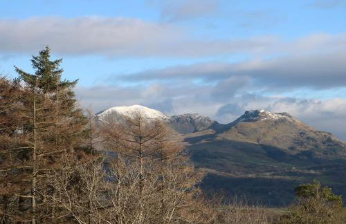 Yr Hen Ysgol, The Old School - Foto 41