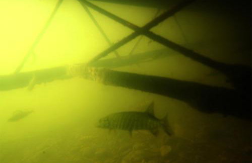 Apartamenty Osowa nad jeziorem Okmin - Foto 56