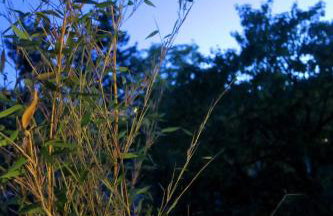 Beau 4 pièces dans coin de verdure - Foto 7