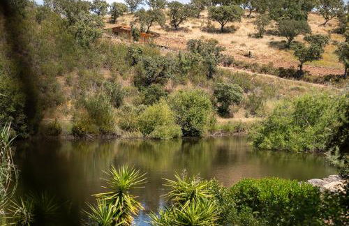 Corvatos Casas do Monte - Foto 3