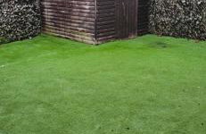 Sandringham House - Foto 15