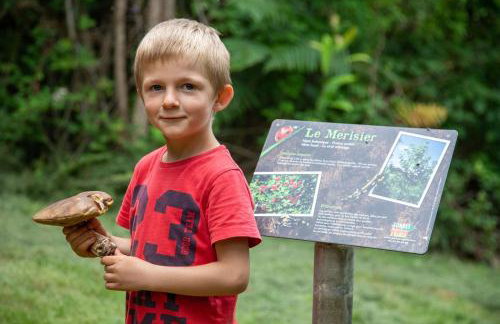 Combas Village De Gites - Foto 41