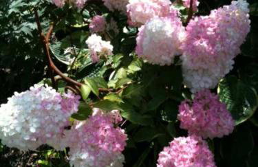 Ferienhaus Klookris 15 - Foto 18